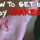 Dream Meaning of Getting Bit By A Snake