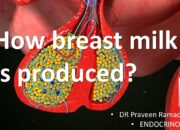 Dream Meaning of Breast Full Of Milk