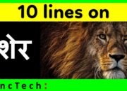 Dream Meaning of Lion In Hindi