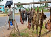 Dream Meaning of Bush Meat