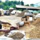 Dream Meaning of Cracking Palm Kernel