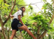 Dream Meaning of Climbing A Mango Tree