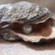 Dream Meaning of Finding A Pearl In An Oyster