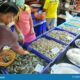 Dream Meaning of Buying Shrimp