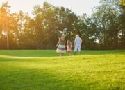 Dream Meaning of Walking In Green Grass