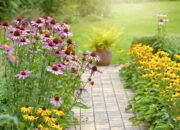 Dream Meaning of Plants