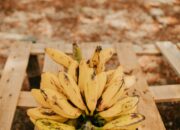 Dream Meaning of Banana Fruit