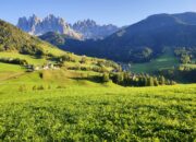 Dream Meaning of Seeing Green Fields