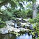 Dream Meaning of A Pond