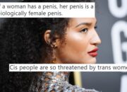 Dream Meaning of Penises In A Female