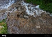 Dream Meaning of Falling In Dirty Water