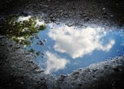 Dream Meaning of Puddle Of Water