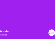 Dream Meaning of Color Purple