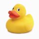 Dream Meaning of A Duck