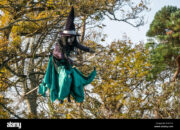 Dream Meaning of Witches Tree With Broomstick