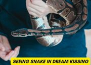 Dream Meaning of A Snake Kissing You
