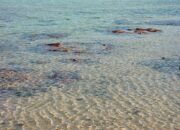 Dream Meaning of Shallow Water