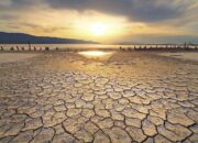 Dream Meaning of Dried Up Lake