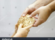 Dream Meaning of Someone Giving You Bread