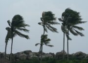 Dream Meaning of Strong Wind