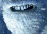 Dream Meaning of The Abominable Snowman