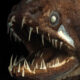 Dream Meaning of Dragon Fish