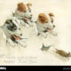 Dream Meaning of Dog Chasing Rat