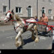 Dream Meaning of Riding In A Cart