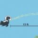 Dream Meaning of Skunk Spraying You