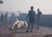 Dream Meaning of Slaughtering A Goat