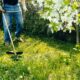 Dream Meaning of Clearing Weeds