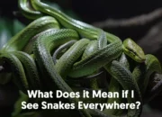 Dream Meaning of Seeing Snakes Everywhere
