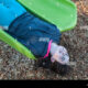 Dream Meaning of Sliding Backwards